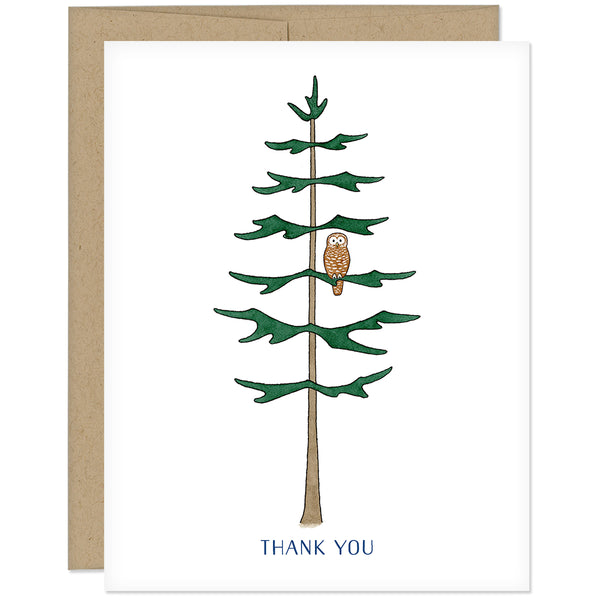 Douglas Fir